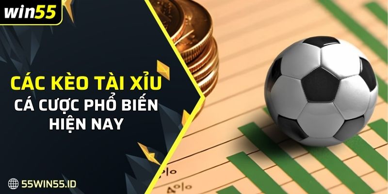 Kèo Tài Xỉu - Luật hơi, Cách Đọc Kèo Và Mẹo Thắng Lớn 1 Các kèo tài xỉu cá cược phổ biến hiện nay