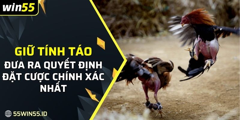 ĐÁ GÀ WIN55 3 Giữ tính táo để đưa ra những quyết định đặt cược chính xác nhất