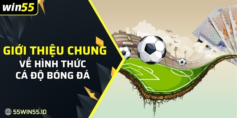 Cá Độ Bóng Đá: Hướng dẫn và mẹo hiệu quả cho tân thủ 2025 1 Giới thiệu chung về hình thức cá độ bóng đá